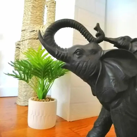 Le 1970 Apartament *